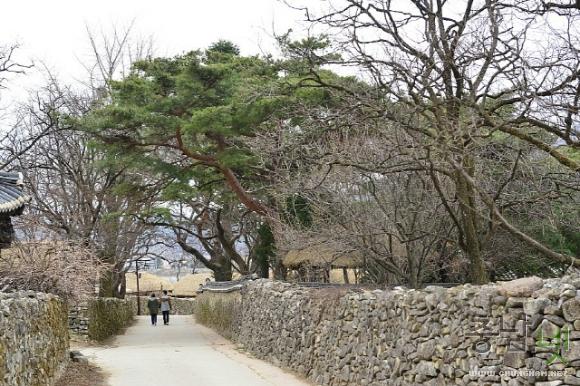 봄맞이한창인외암민속마을 9