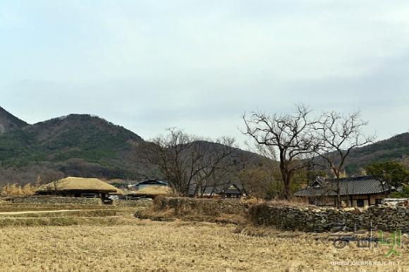 봄맞이한창인외암민속마을 21