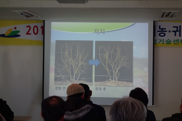 2013년예산군귀농귀촌교육및사과나무전정현장실습 3