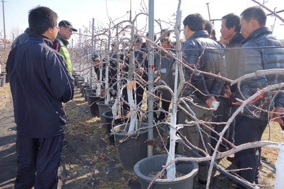 2013년예산군귀농귀촌교육및사과나무전정현장실습 7