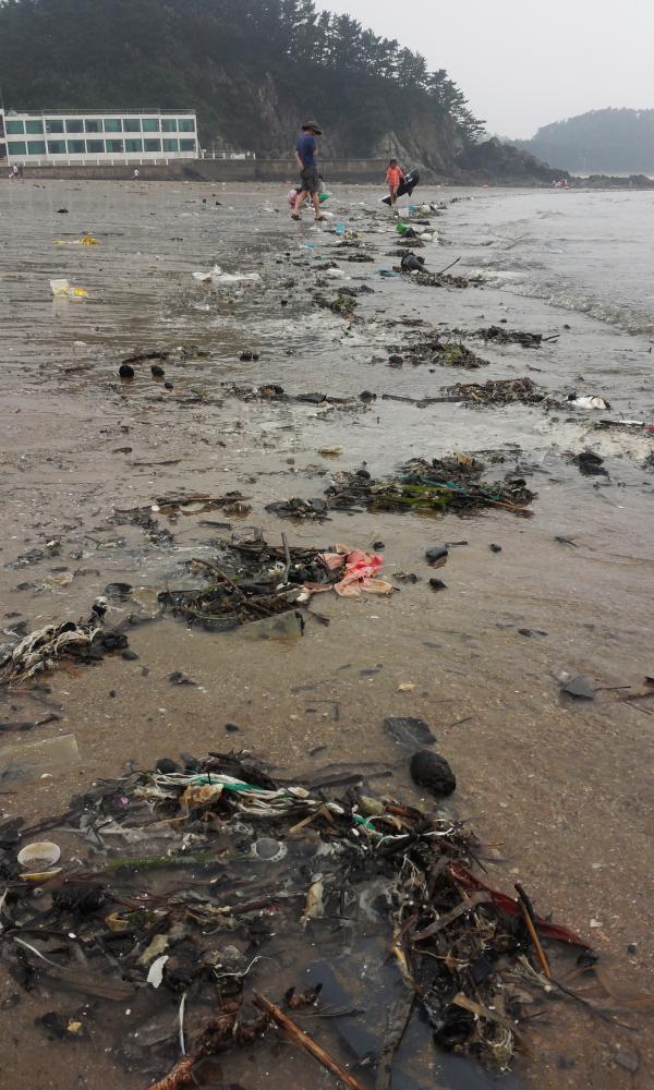  파도에 밀려든 쓰레기들과 관광객들이 함께 버린 생활쓰레기들로 바다가 몸살을 앓고 있었다.