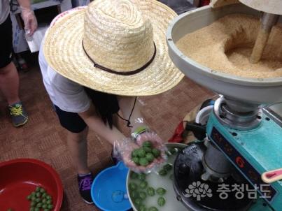 홍성전통시장 떡집에서 꿀떡을 만드는 상인체험하는 통영청소년