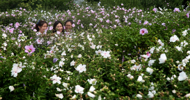 여름꽃 핀 천리포수목원으로