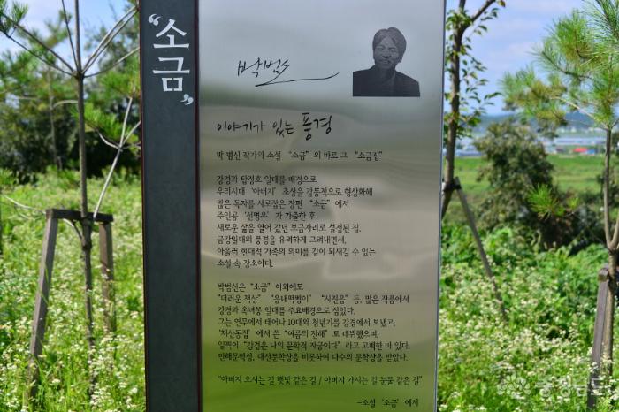 옥녀봉과 박범신작가 소설 소금의 "소금집"