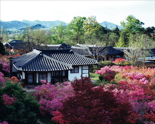 The graceful hanok and the Old Architecture with Dignity, Sagye Historic House.