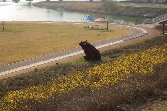 한없이 금강을 바라보는 곰의 모습