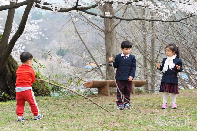 자유분방한 아이들이 벚꽃아래서 열심히 뛰어놉니다.