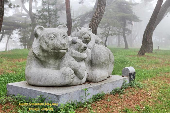 인간과 곰의 설화가 전하는 고마나루 솔밭 사진