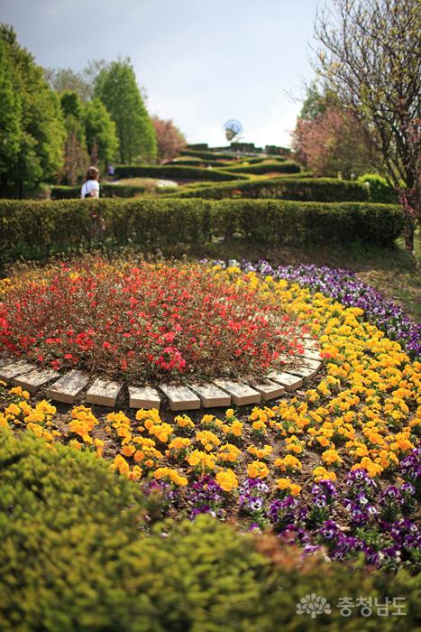 아기자기한 꽃길과 정원, 피나클랜드 사진