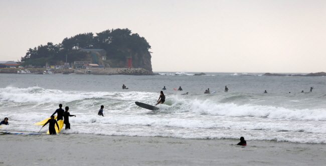 만리포해수욕장 서핑하는 사람들.