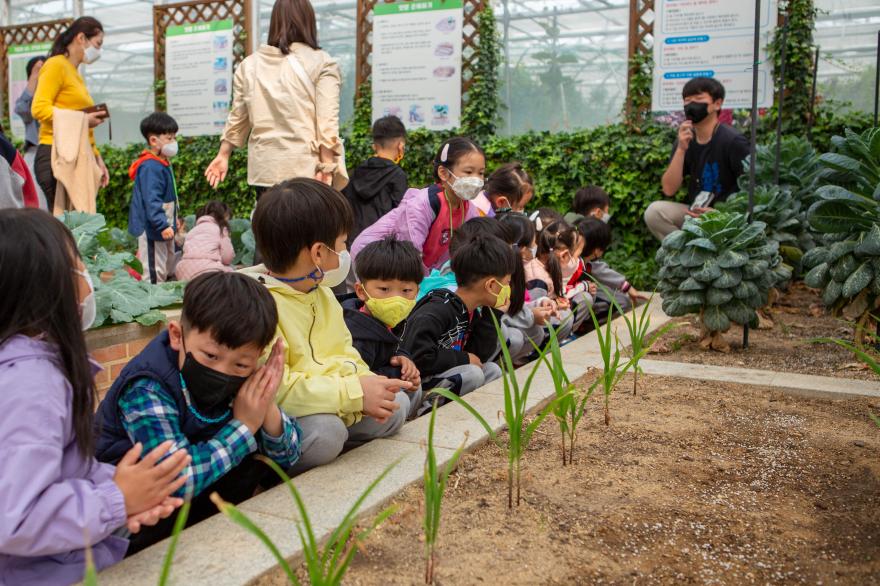 자연과 친구하며 친밀함을 느낄 수 있는 어린이 식물 관찰 교실