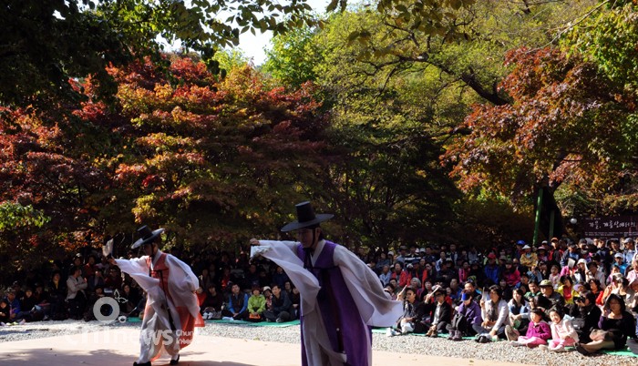 계룡산에서 화려한 '가을 춤판'