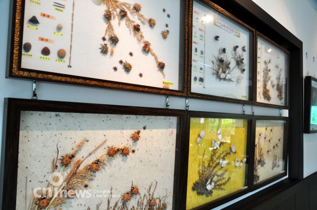 곤충나라에서 열리는 곤충올림픽 사진