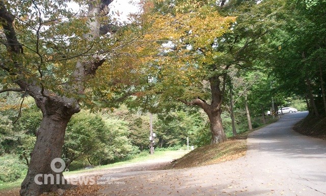 가을 문턱에 찾아간 칠갑산 장곡사 사진