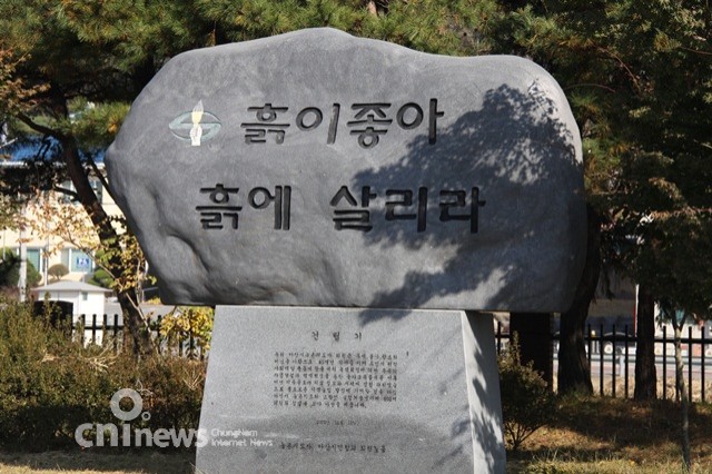 국화꽃전시회 '만추의 향기' 물씬 사진