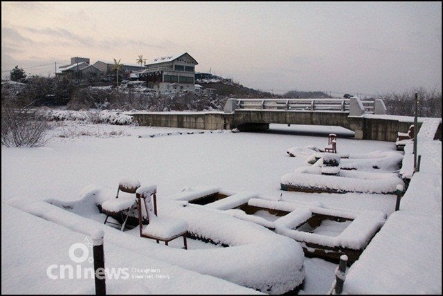 겨울눈꽃 만발한 천안 업성지 풍경 사진