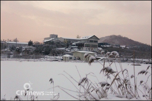 겨울눈꽃 만발한 천안 업성지 풍경 사진