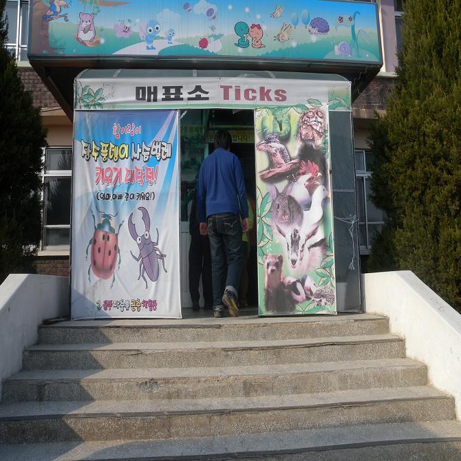 폐교에 만든 이색박물관 "파충류가 나타났다!" 사진