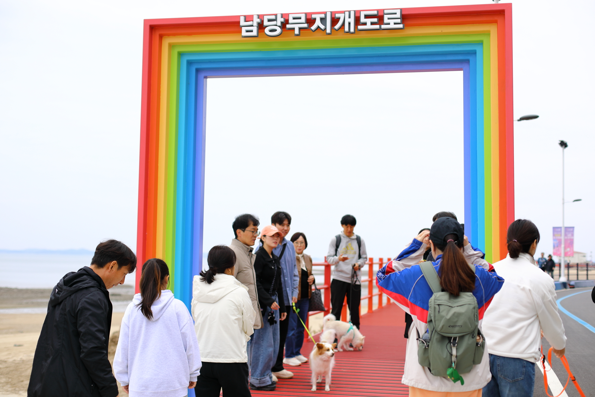 반려견과 함께하는 특별한 추억 만들기! 