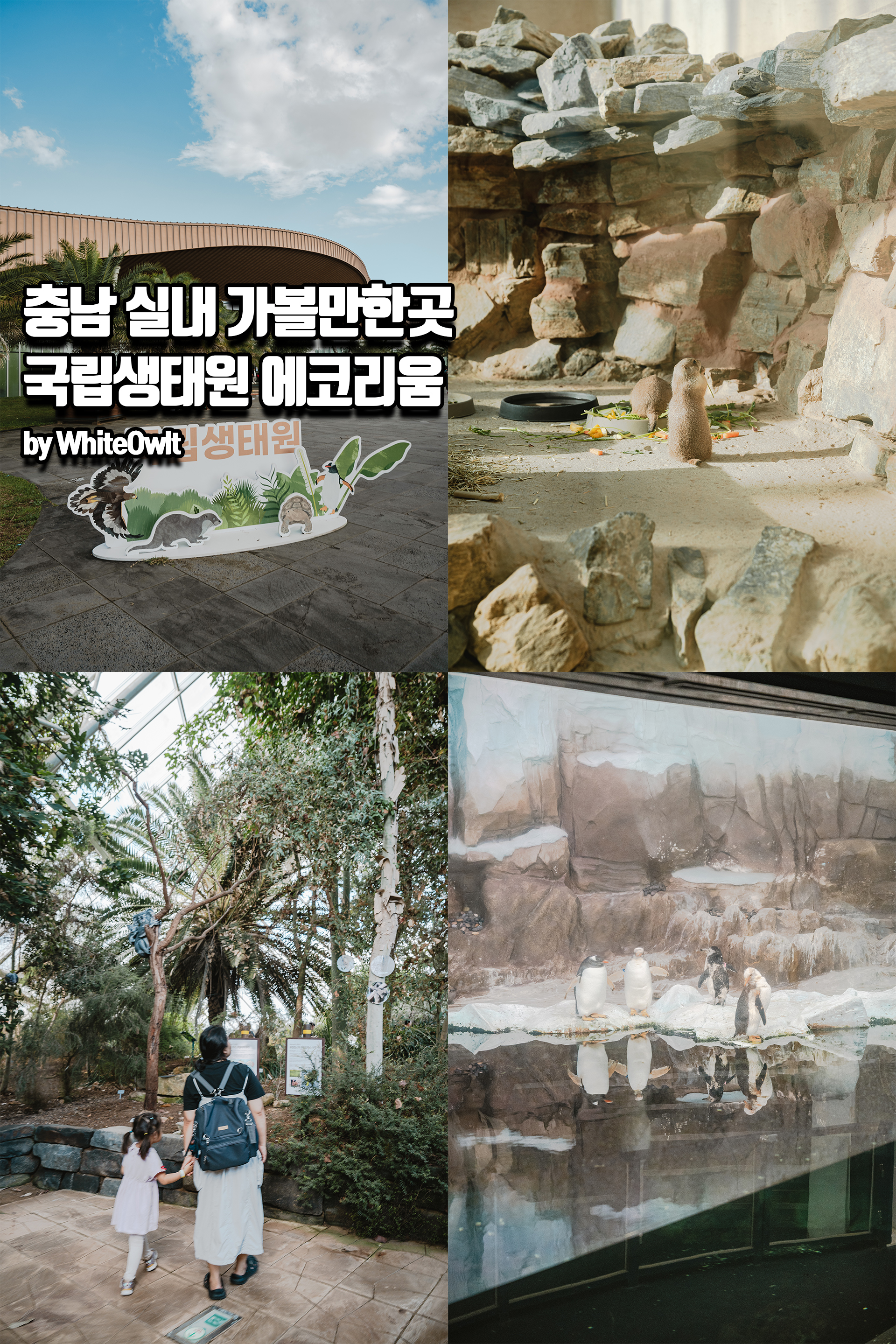 충남 서천 실내 가볼만한곳, 국립생태원 에코리움에서 아이와 함께한 가을날의 세계여행