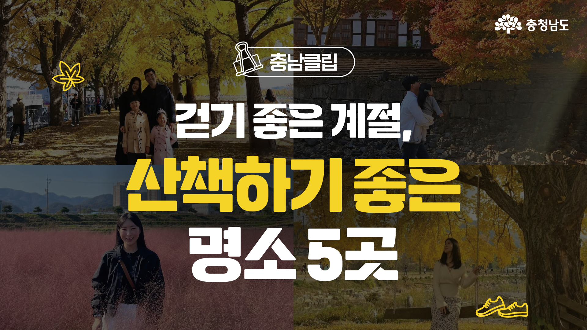 이번 주말은 충남의 가을 속에서 산책 어떠세요?🍂