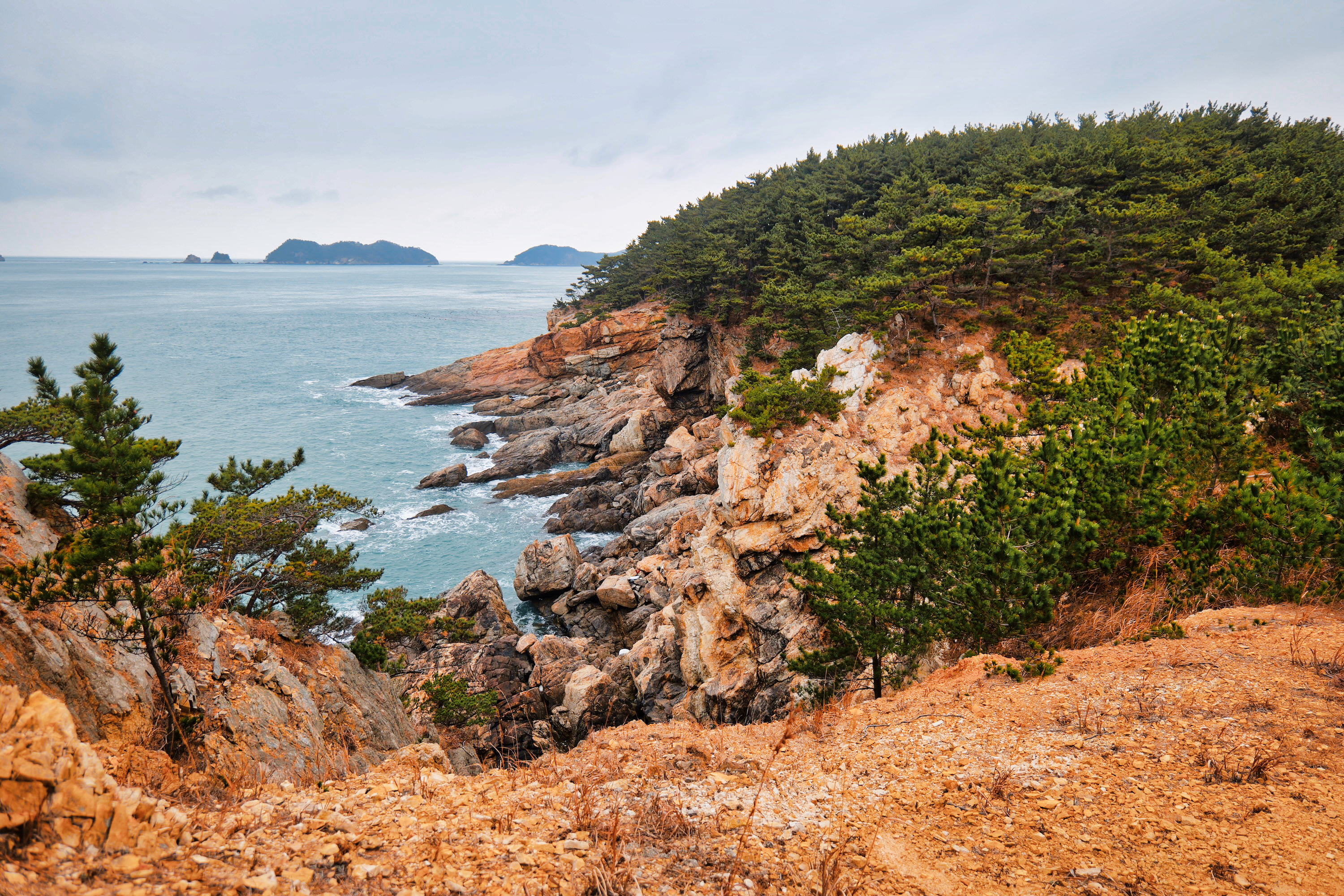 '오징어 게임' '선재 업고 튀어' 촬영지! 섬 속의 섬, 태안 마도