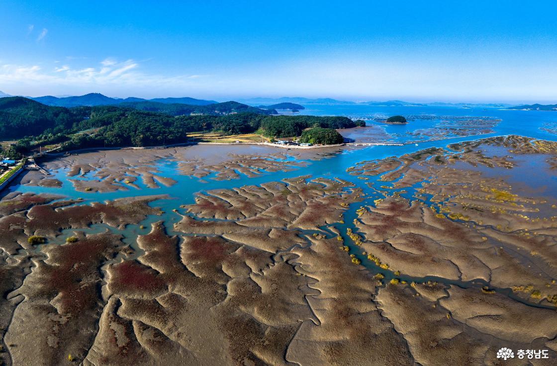 林荫湾滩涂