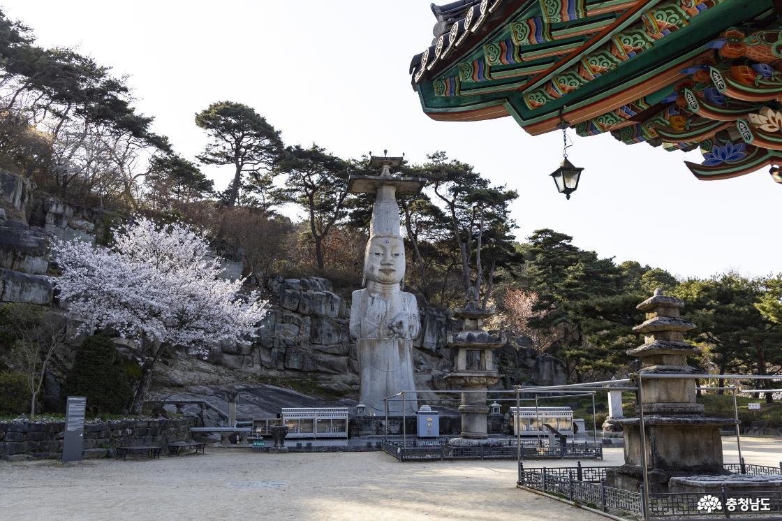 观照寺