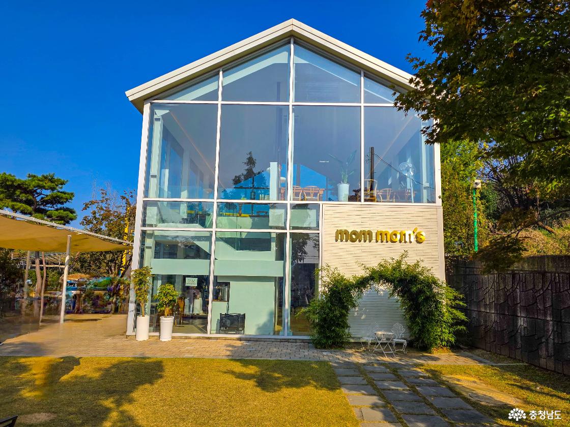 천안 아이와 가볼만한곳 즐거운 맘맘스 농장 피자만들기 동물 먹이주기 체험