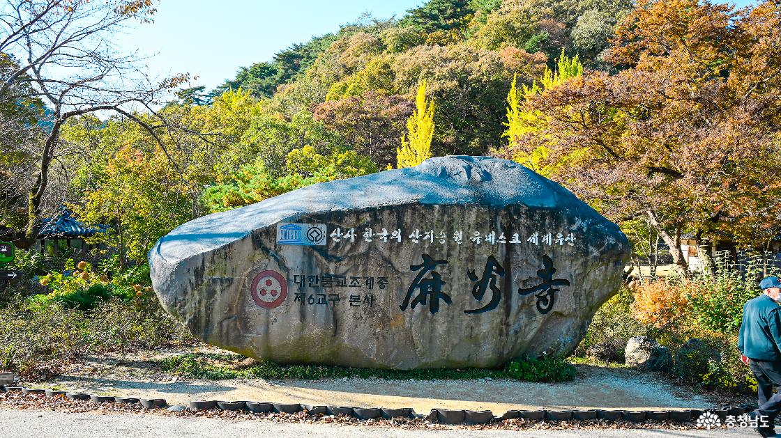 공주 마곡사, 천년 고찰에 물든 가을빛 단풍