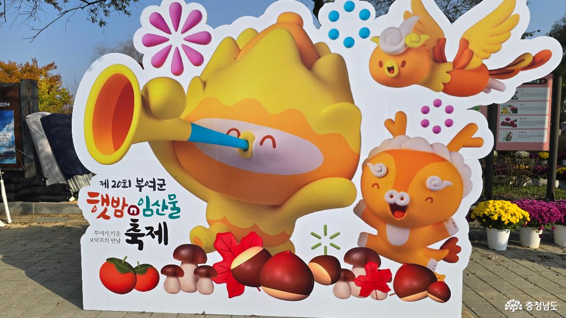 이 밤의 끝을 부여 잡고? 지금 부여에서 뭔 일이 난겨?