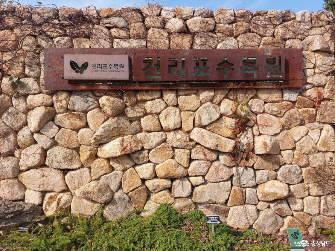 천리포수목원에 가면 나를 내려놓을 수 있어 좋다