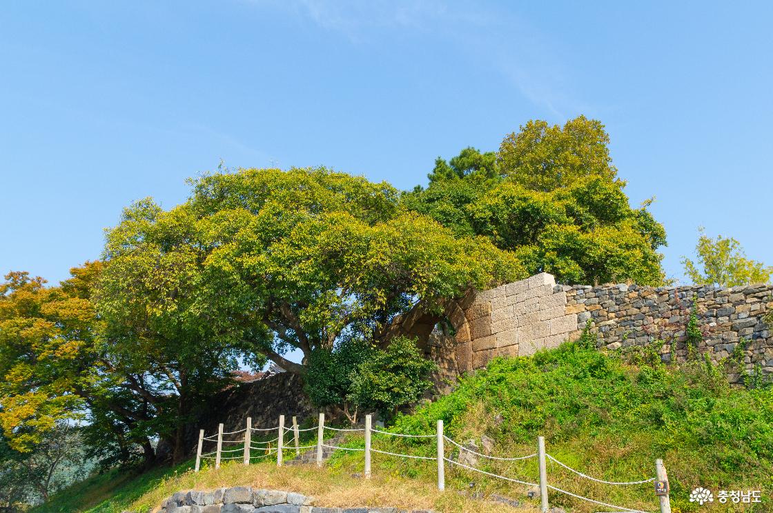 조선시대 최고의 정자가 있었던 보령 충청수영성 역사기행
