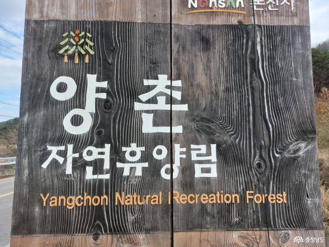 양촌 자연휴양림에서 몸과 마음을 잠시 쉬게 하세요