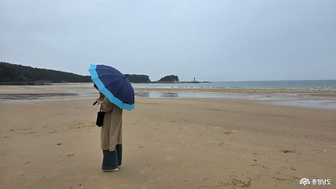 태안 가볼만한곳 만리포 해수욕장