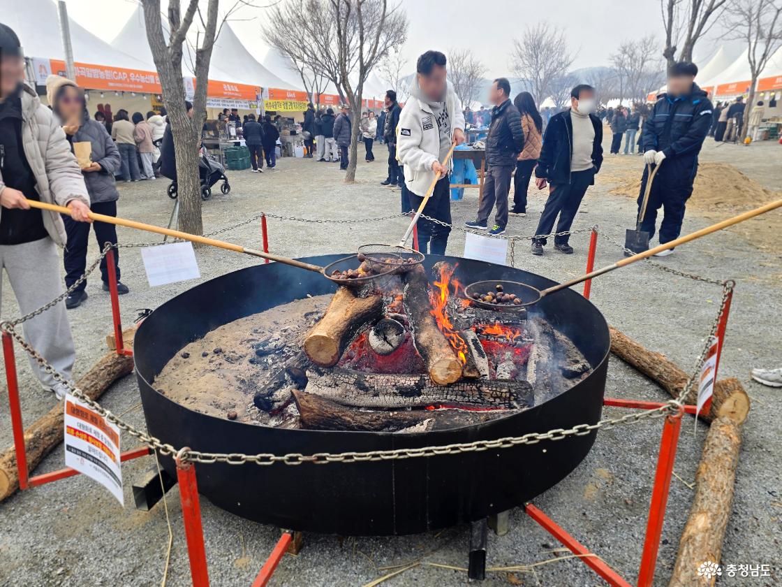 겨울의 충남을 따뜻하게 보내는 방법, 2026년 공주군밤축제