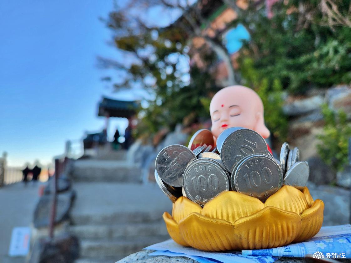 노을빛 바닷길 따라, 간월암으로 향하다