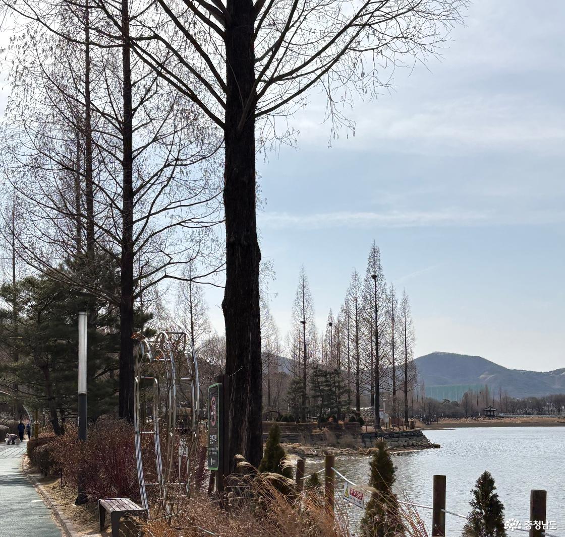 계절을 걷다, 아산 신정호 산책길