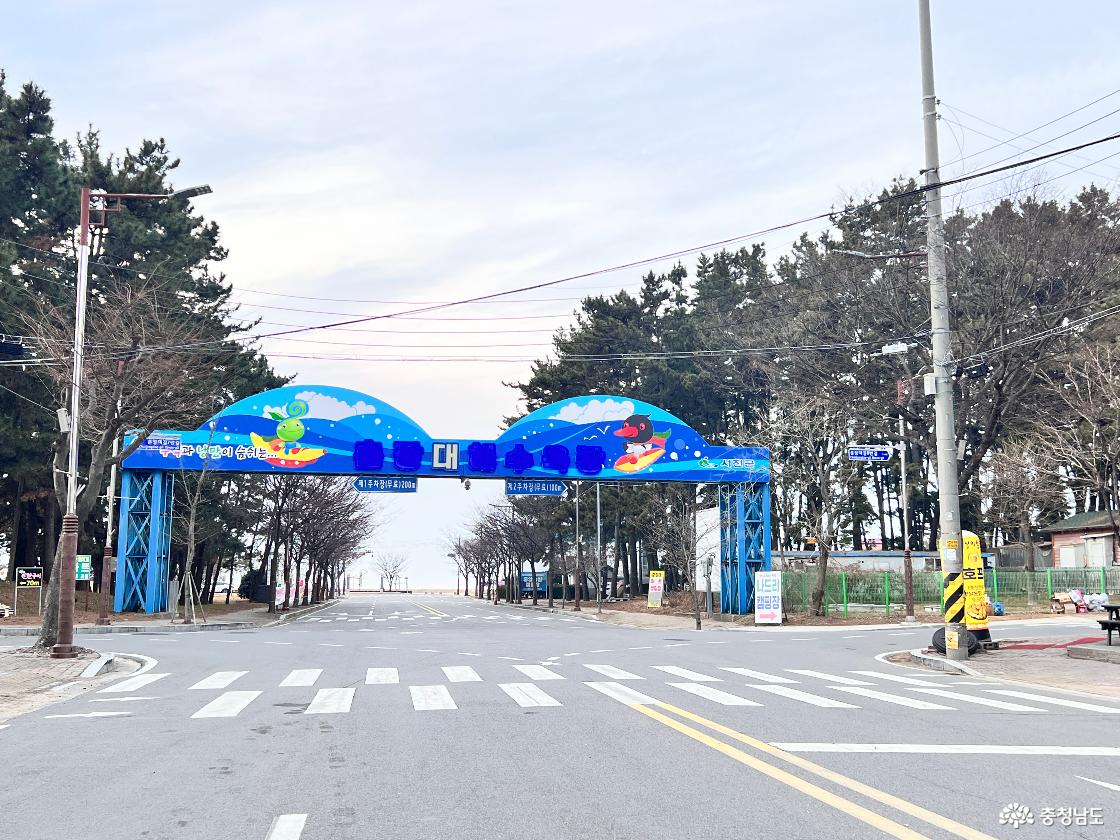 서해안의 보석, 충남 서천 여행 복잡한 일상을 잊게 하는 춘장대 해수욕장의 평온한 매력