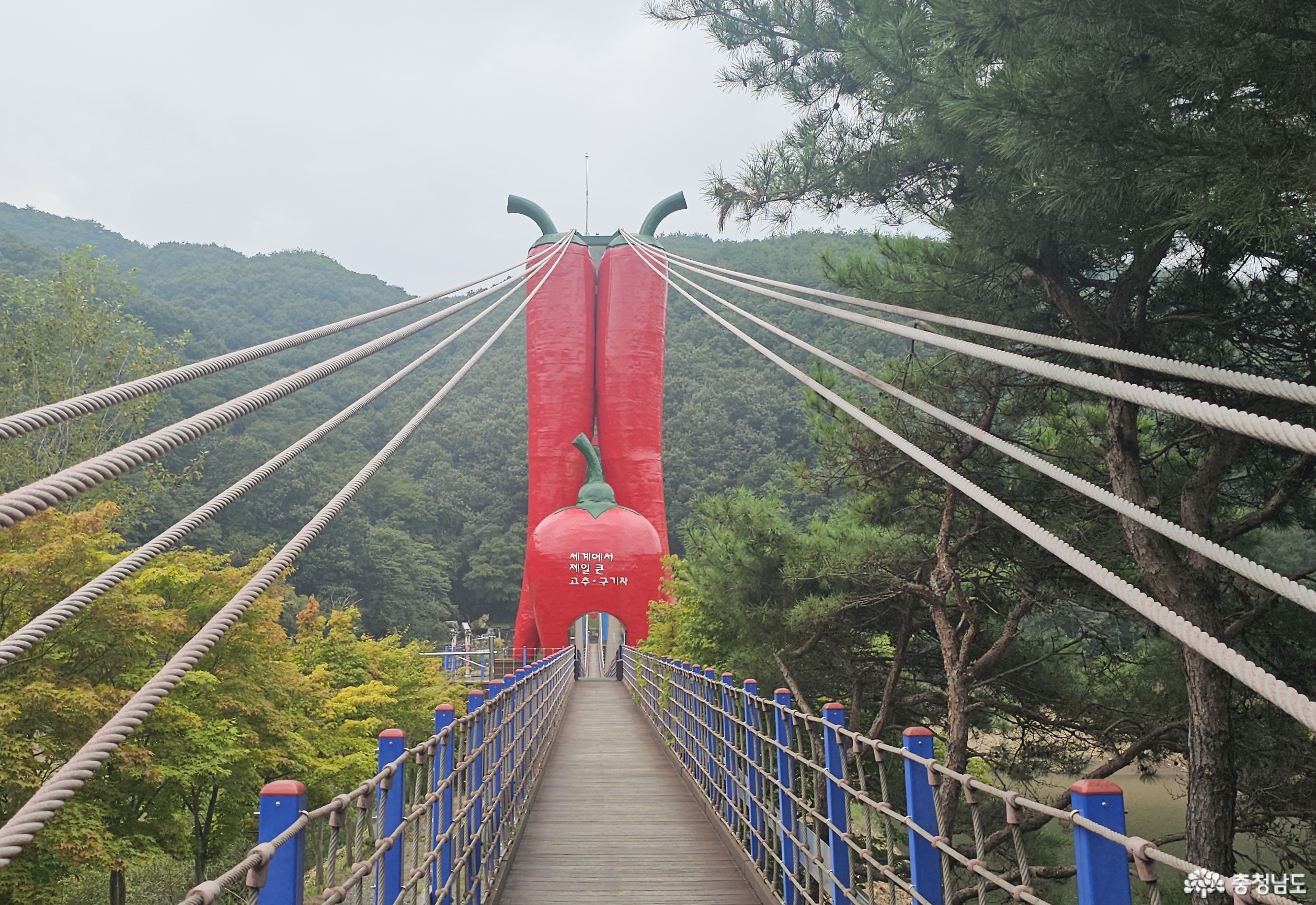 충남 청양 여행 천장호출렁다리