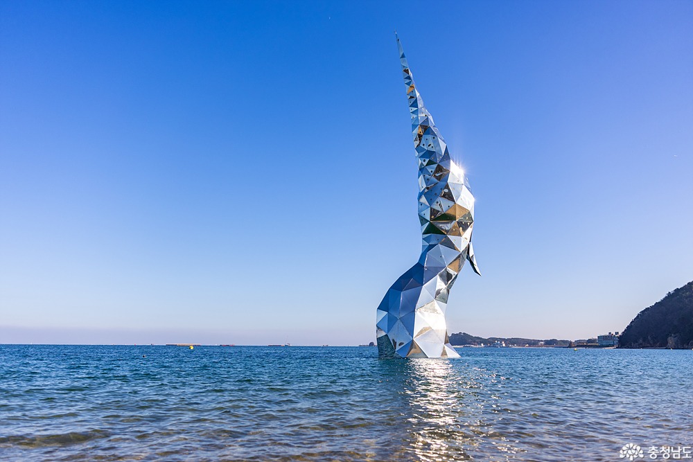 은빛 날개를 달고 겨울 바다를 날다, 당진 왜목마을 여행기