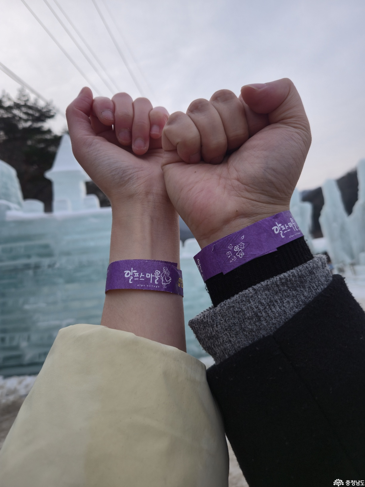 청양에서 힐링하기! 청양 알프스마을, 천장호 출렁다리