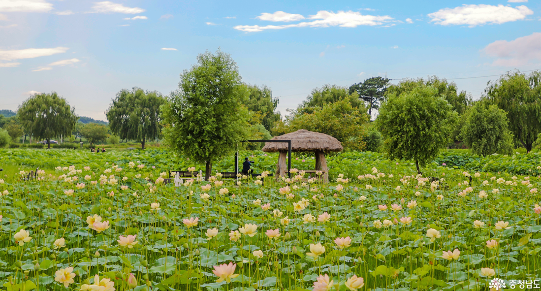 전통 농경 문화를 체험할 수 있는 곳, 합덕제지구 농어촌테마공원