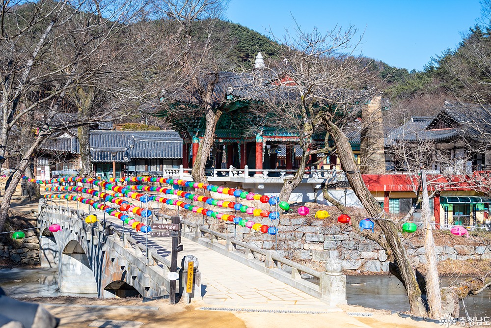 겨울과 봄 사이, 태화산 마곡사를 걷다