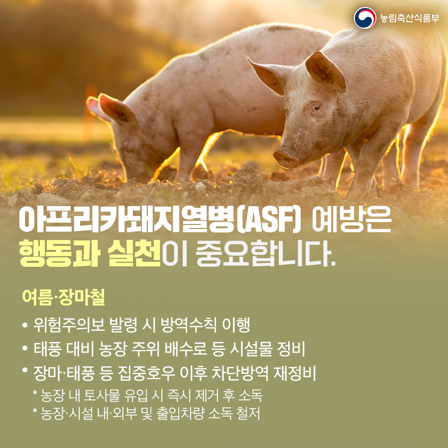 아프리카돼지열병(ASF) 예방은 행동관 실천이 중요합니다.